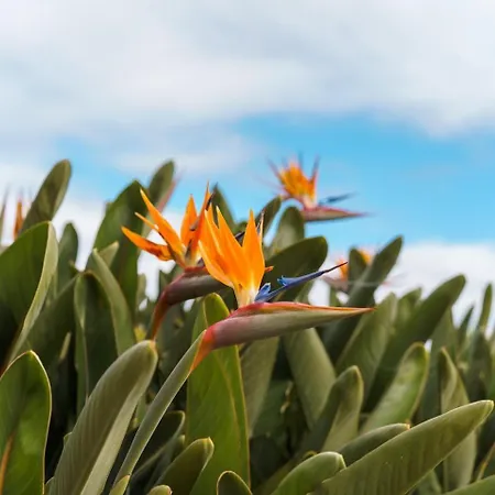 Sunny Getaway In 푼샬