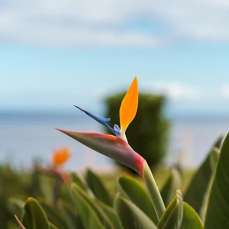 아파트 Sunny Getaway In 푼샬