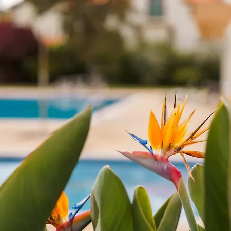 Sunny Getaway In