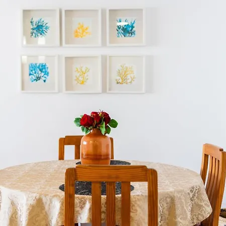 Sunny Getaway In شقة