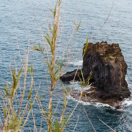 شقة Sunny Getaway In فونشال