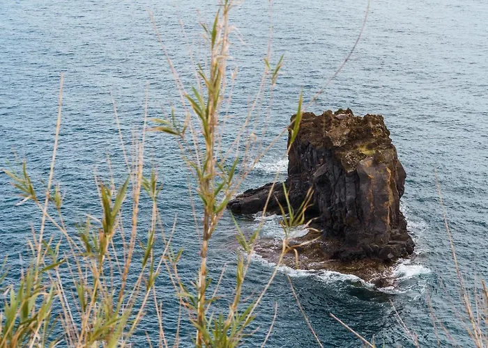 Апартаменты Sunny Getaway In Фуншал